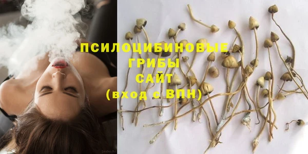 тгк Бронницы