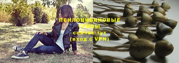 тгк Бронницы